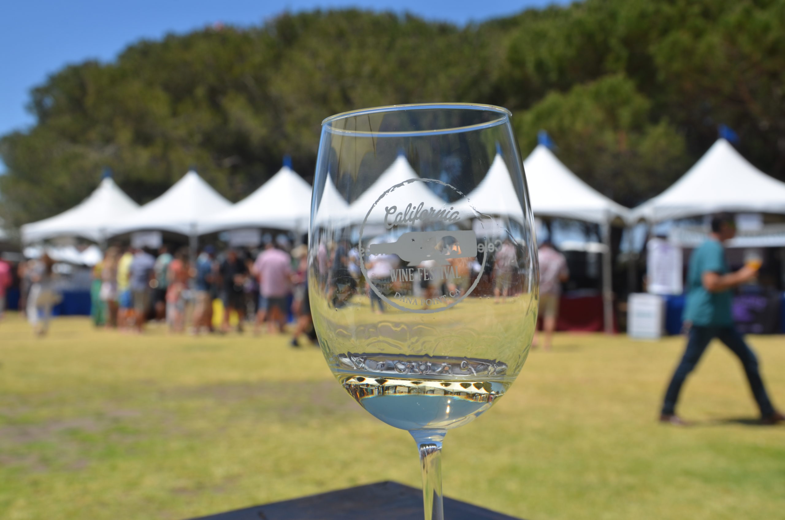 California Wine Festival: Legend of the Local Grape